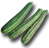 courgette_italie